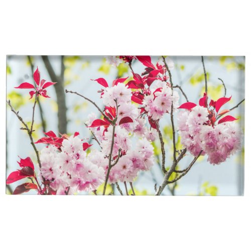 Pink Cherry Blossoms Flowers Place Card Holder