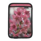 Pink Cherry Blossoms