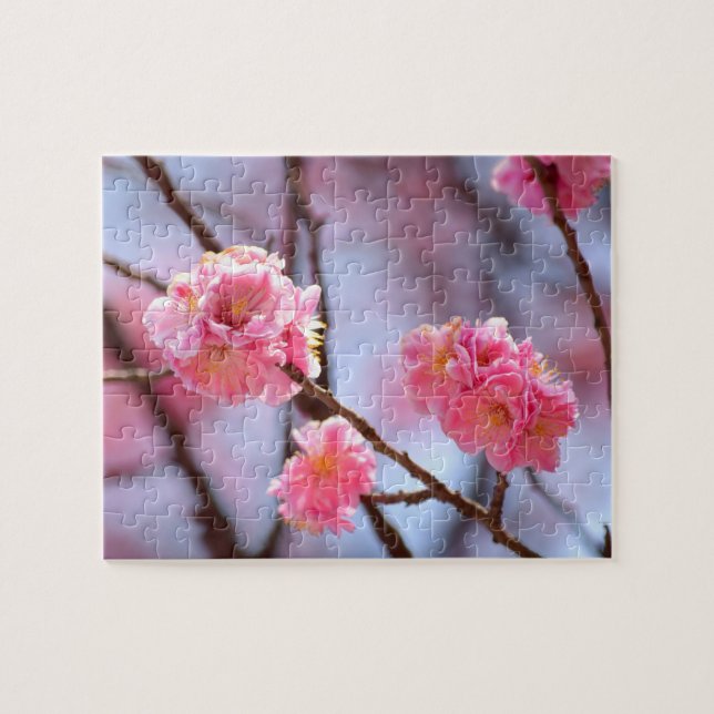 Pink Cherry Blossoms Jigsaw Puzzle (Horizontal)