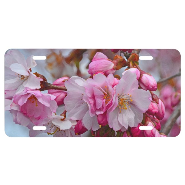 Pink cherry blossoms license plate (Front)