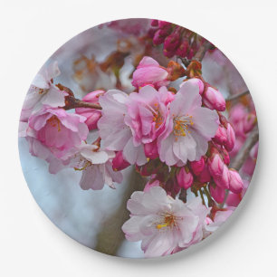 Pink cherry blossoms paper plates