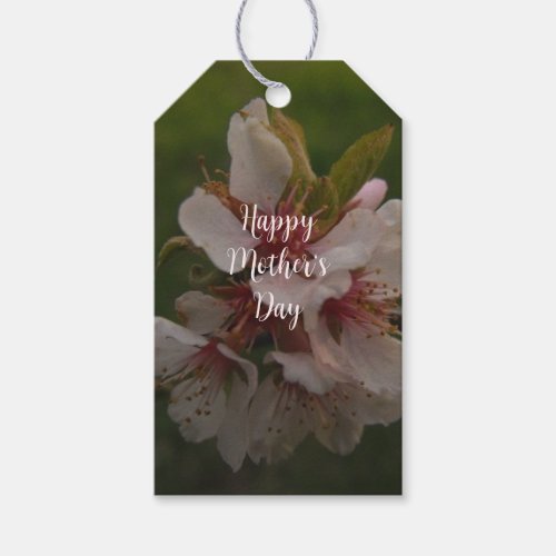 Pink Cherry Blossoms Personalized Mothers Day Gift Tags