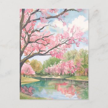 Pink Cherry Blossoms Postcard by cbendel at Zazzle