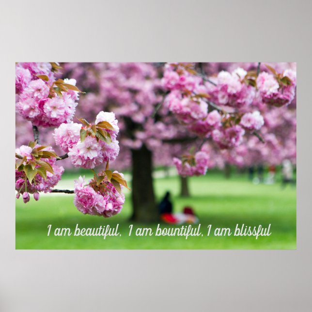 Pink cherry blossoms poster (Front)
