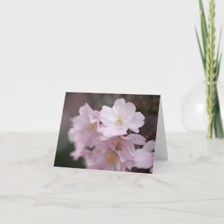 Pink Cherry Blossoms Thank You Card