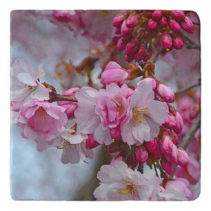 Pink cherry blossoms trivet