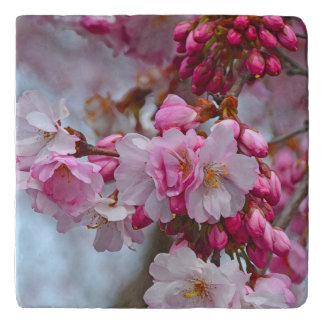 Pink cherry blossoms trivet