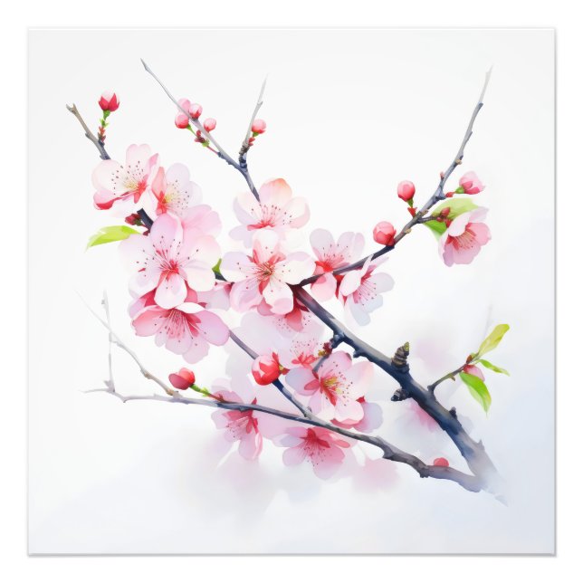 Pink Cherry Flowers Branch Photo Print (Front)
