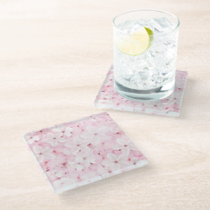 Pink Cherry Tree Blossoms Glass Coaster