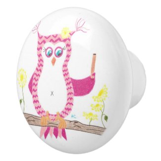 Pink chevron owl teacher ceramic knob