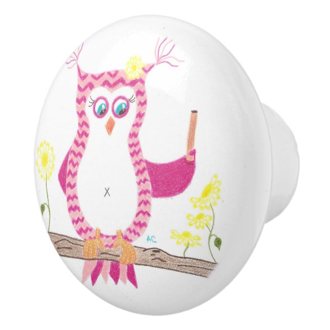 Pink chevron owl teacher ceramic knob (Right)