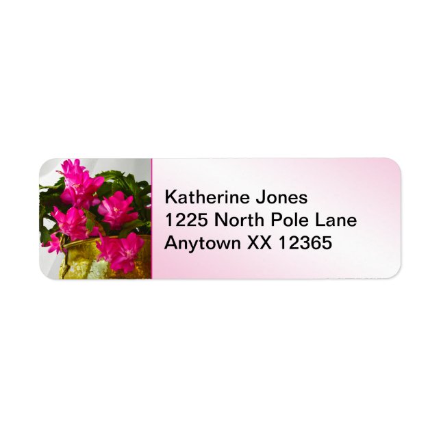 Pink Christmas Cactus Floral Photography Close-up Label (Front)