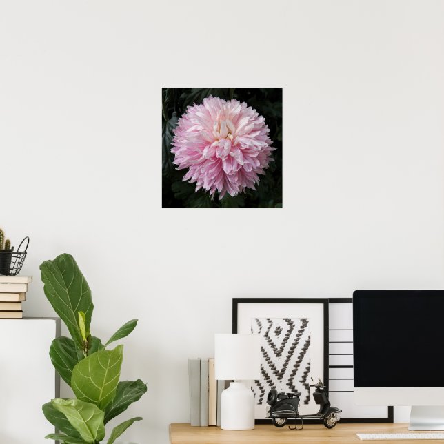 Pink Chrysanthemum Bloom Floral Poster (Home Office)