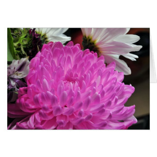 Pink Chrysanthemum Cards