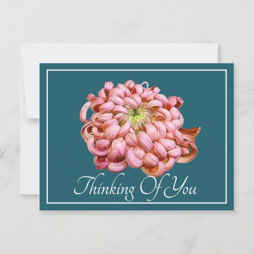 Pink Chrysanthemum Cyan Background Thinking Of You Postcard