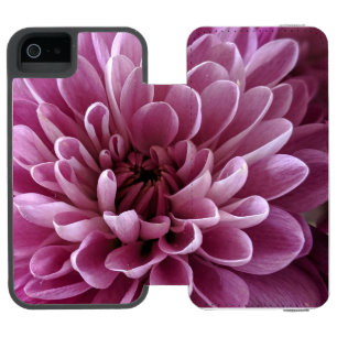 Pink Chrysanthemum Flower Photo Design iPhone SE/5/5s Wallet Case