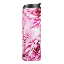 Pink Chrysanthemum Flower