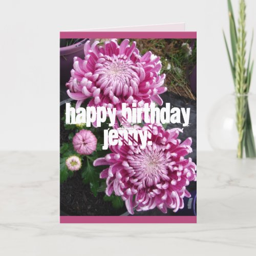 Pink Chrysanthemum flowers floral Birthday Card