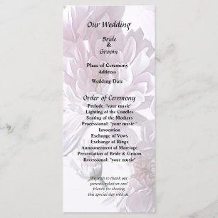 Pink Chrysanthemum Heart Program