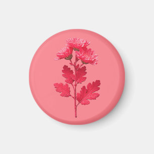 Pink Chrysanthemum  Magnet