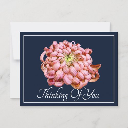 Pink Chrysanthemum Navy Background Thinking Of You Postcard