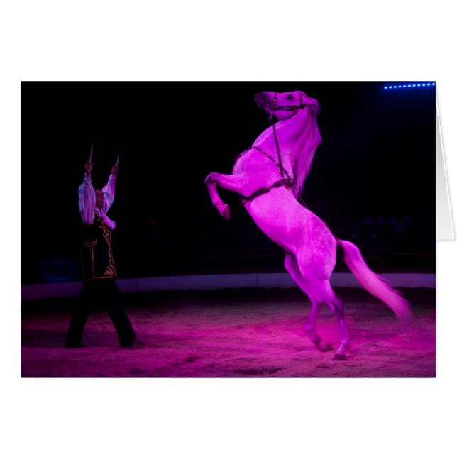 Pink Circus Horse Cards (Front Horizontal)