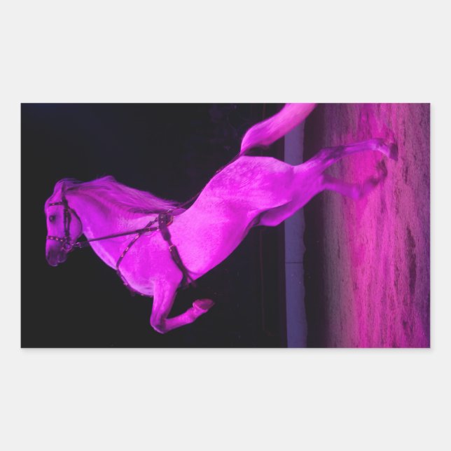 Pink Circus Horse Rectangular Sticker (Front)