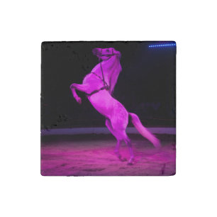 Pink Circus Horse Stone Magnet