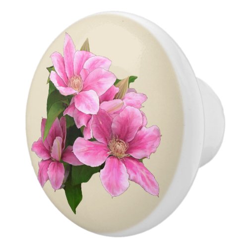 Pink clematis flower illustration beige ceramic knob