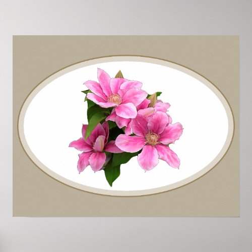 Pink clematis flower illustration beige poster