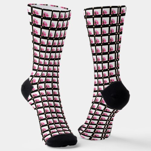 Pink clematis flower illustration square black socks
