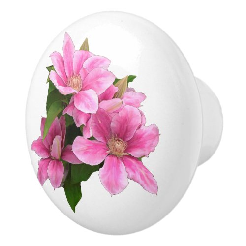 Pink clematis flower illustration white ceramic knob