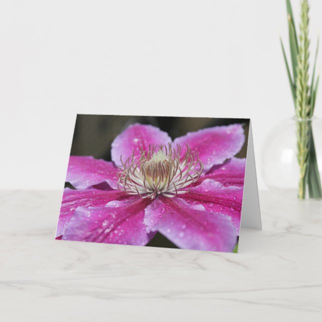 Pink Clematis Flower Notecard (Front)