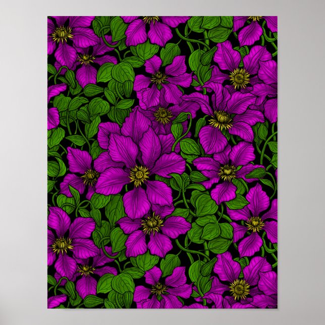 Pink Clematis vine Poster (Front)