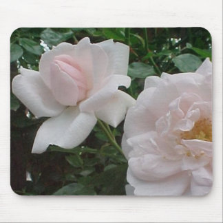 Pink Climbing Rose Mouse Pad