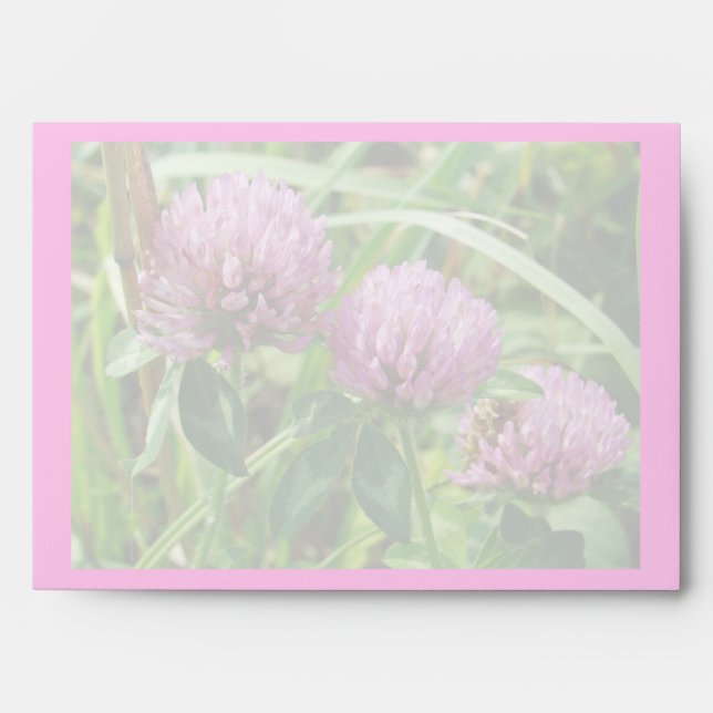 Pink Clover Wildflower - Trifolium pratense Envelope (Front)