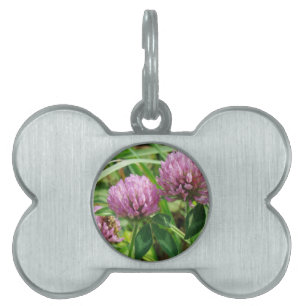 Pink Clover Wildflower - Trifolium pratense Pet Tag