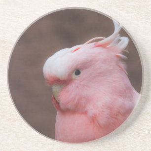 Pink Cockatoo Coaster