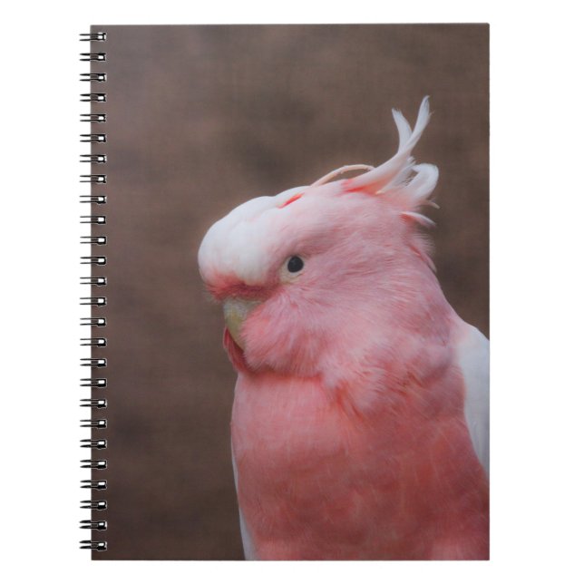 Pink Cockatoo Notebook (Front)