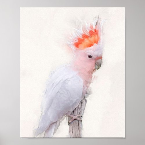 Pink Cockatoo Portrait Poster