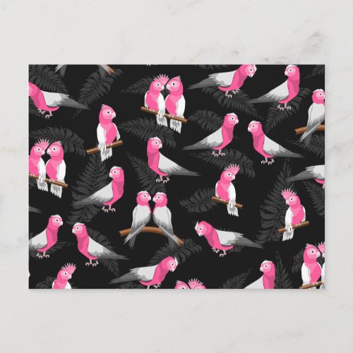 Pink cockatoos bird pattern postcard