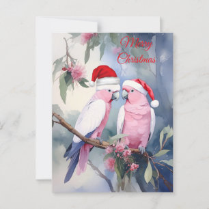 Pink Cockatoos Santa Hat Merry Christmas Postcard