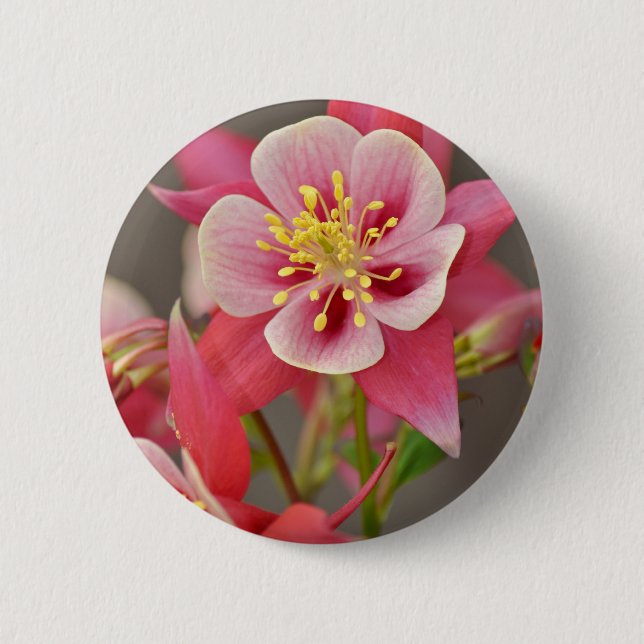 Pink columbine flower print pinback button (Front)