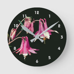 Pink Columbine Flower Round Clock