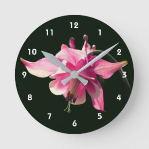 Pink Columbine Flower Round Clock