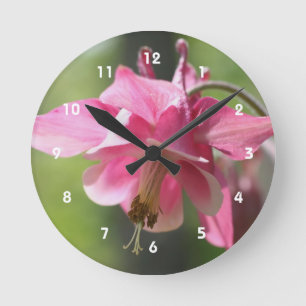 Pink Columbine Flower Round Clock
