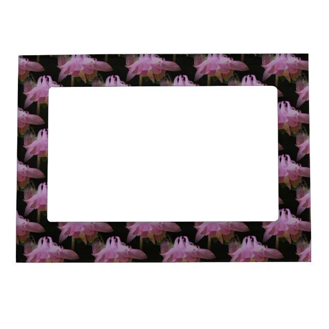 Pink Columbine Flowers Magnetic Frame (Front)