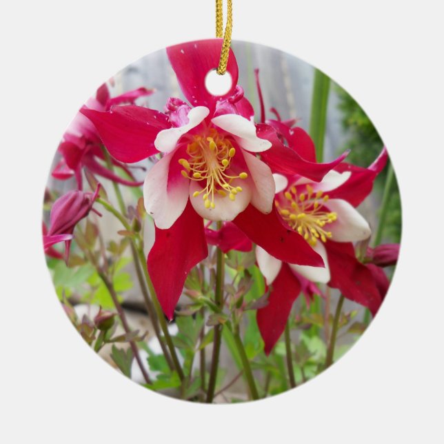 Pink Columbines Ornament (Front)