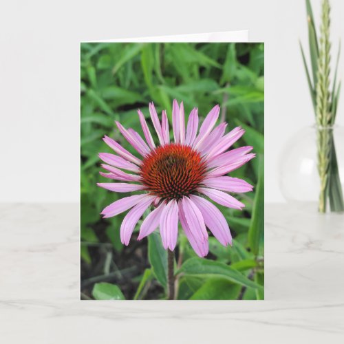 Pink Cone Flower Card