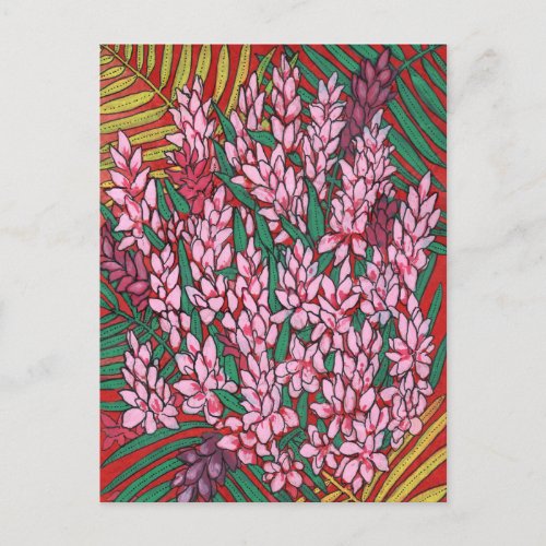 Pink Cone Ginger Alpinia Tropical Flowers Floral Postcard